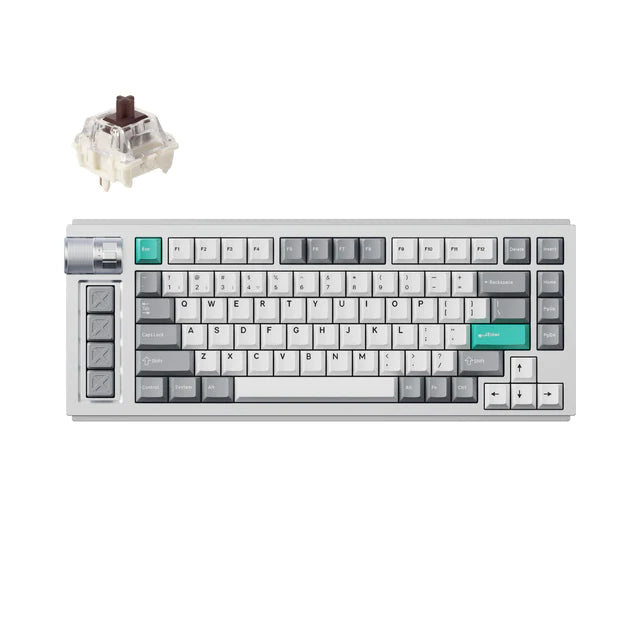 Teclado inalámbrico personalizado para juegos Lemokey L1 QMK/VIA