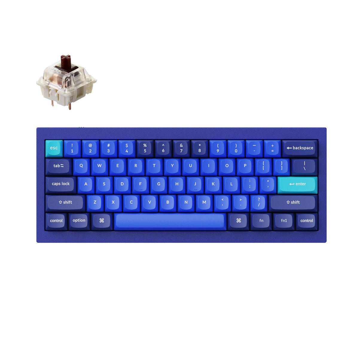 Teclado mecánico personalizado Keychron Q4 QMK (diseño ANSI de EE. UU.)