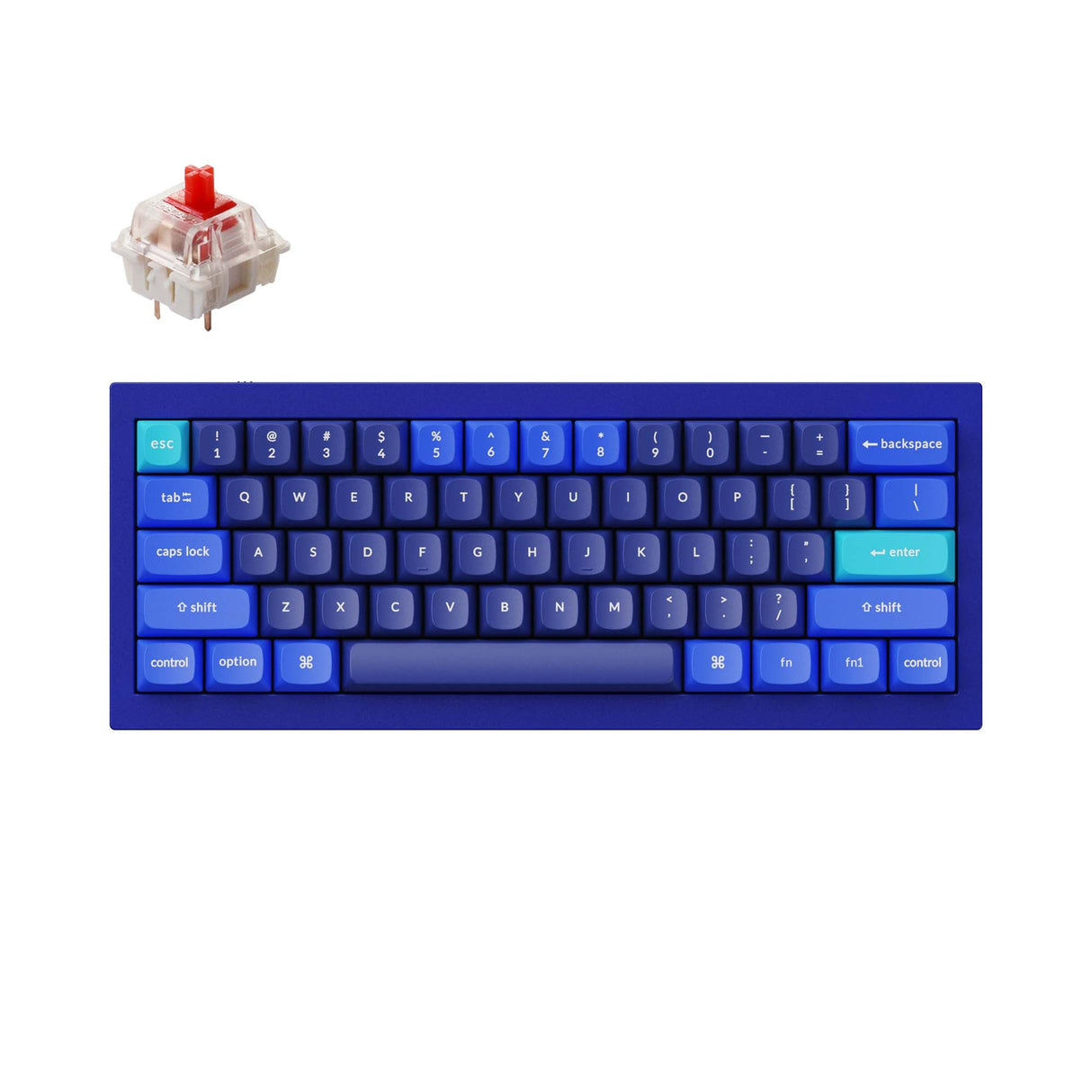 Teclado mecánico personalizado Keychron Q4 QMK (diseño ANSI de EE. UU.)