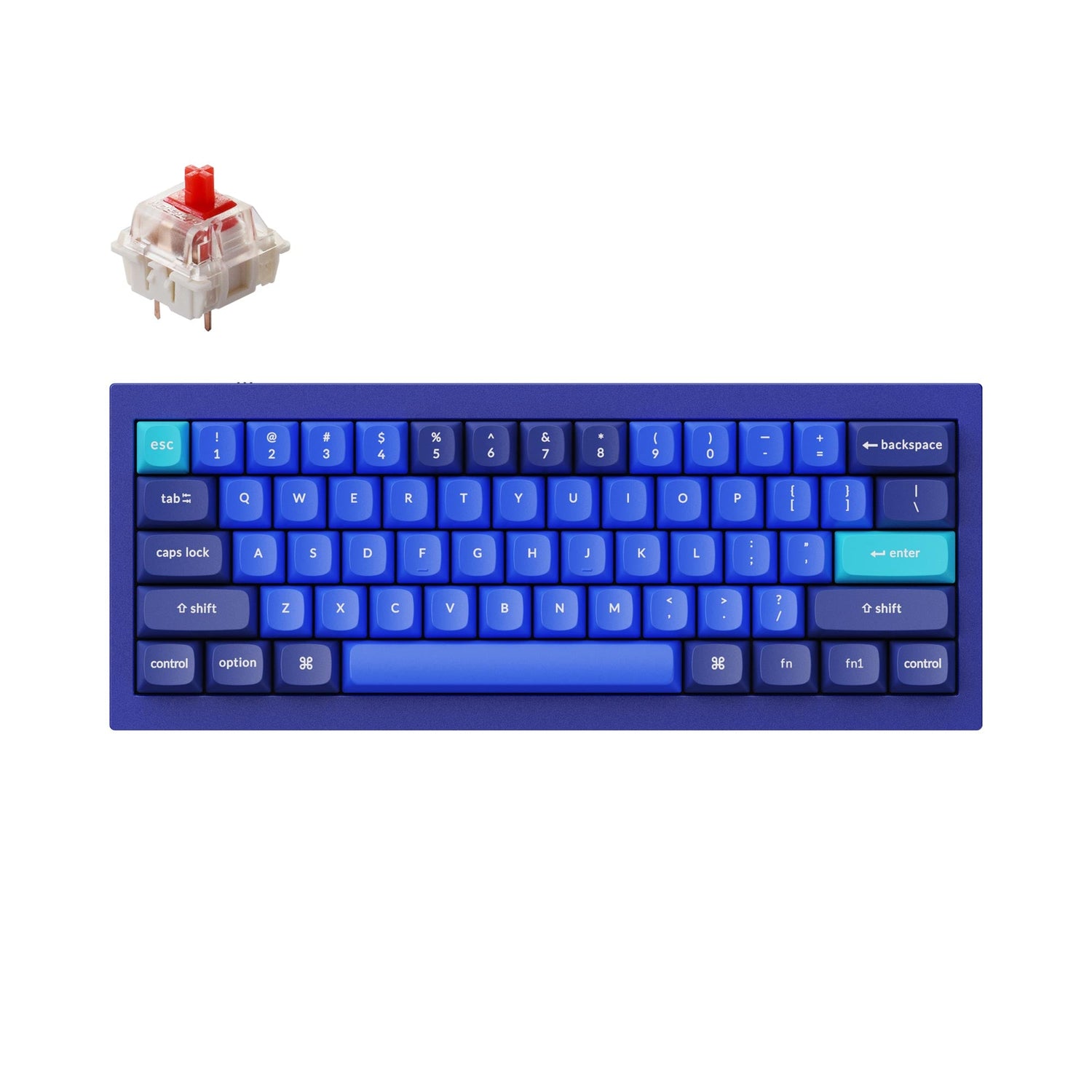 Teclado mecánico personalizado Keychron Q4 QMK (diseño ANSI de EE. UU.)