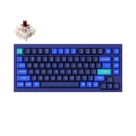 Keychron-Q1-75-percent-QMK-Custom-Mechanical-Keyboard-version-2-blue-gateron-g-pro-brown
