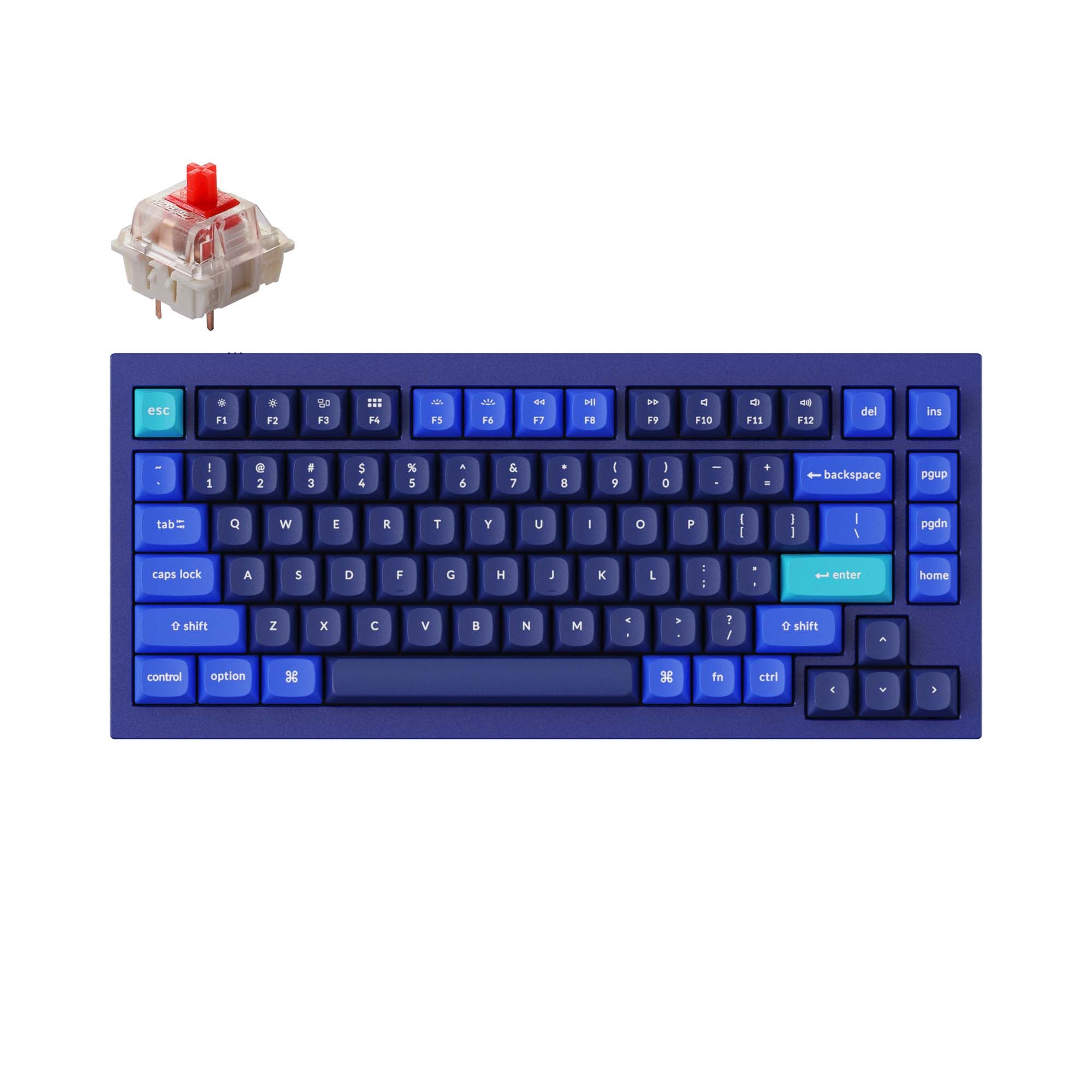 Keychron-Q1-75-percent-QMK-Custom-Mechanical-Keyboard-version-2-blue-gateron-g-pro-red